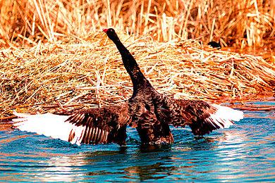 《寂静岭：飞升》部分怪物设定图 太吓人让人不寒而栗